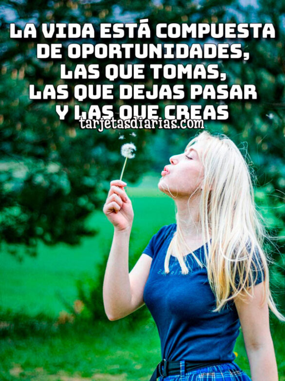 LA VIDA ESTÁ COMPUESTA DE OPORTUNIDADES