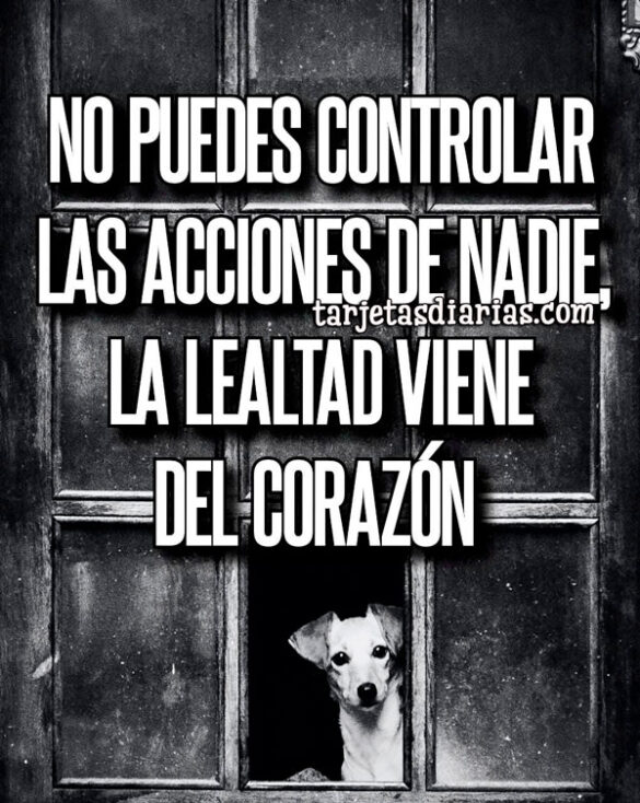 NO PUEDES CONTROLAR LAS ACCIONES DE NADIE, LA LEALTAD VIENE DEL CORAZÓN