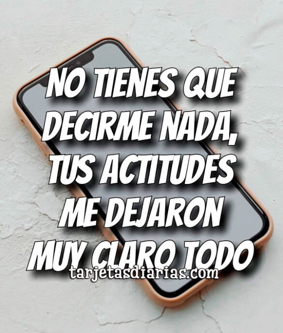 NO TIENES QUE DECIRME NADA, TUS ACTITUDES ME DEJARON CLARO TODO