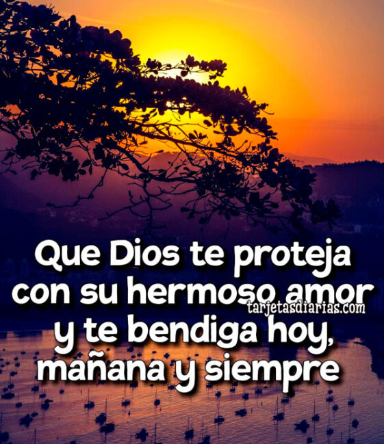 QUE DIOS TE PROTEJA CON SU HERMOSO AMOR Y TE BENDIGA HOY, MAÑANA Y ...