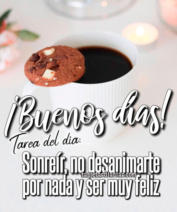 TAREA DEL DÍA: SONREÍR, NO DESANIMARTE POR NADA Y SER MUY FELIZ