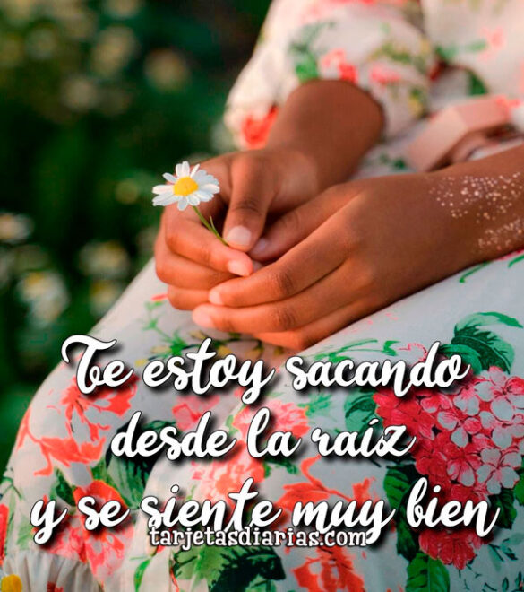 TE ESTOY SACANDO DESDE LA RAÍZ Y SE SIENTE MUY BIEN
