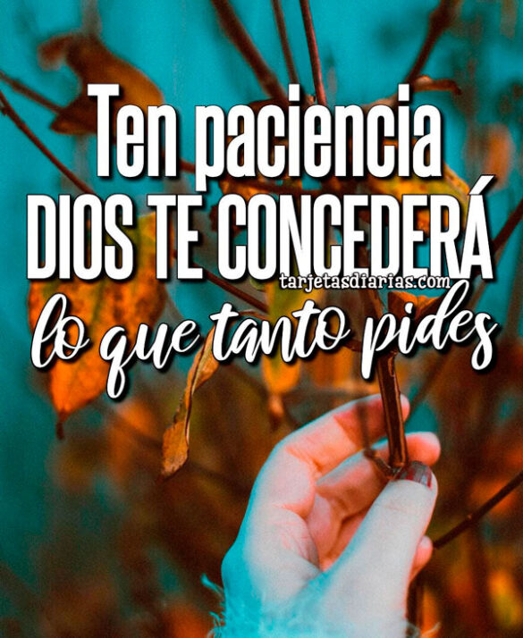 TEN PACIENCIA, DIOS TE CONCEDERÁ LO QUE TANTO PIDES