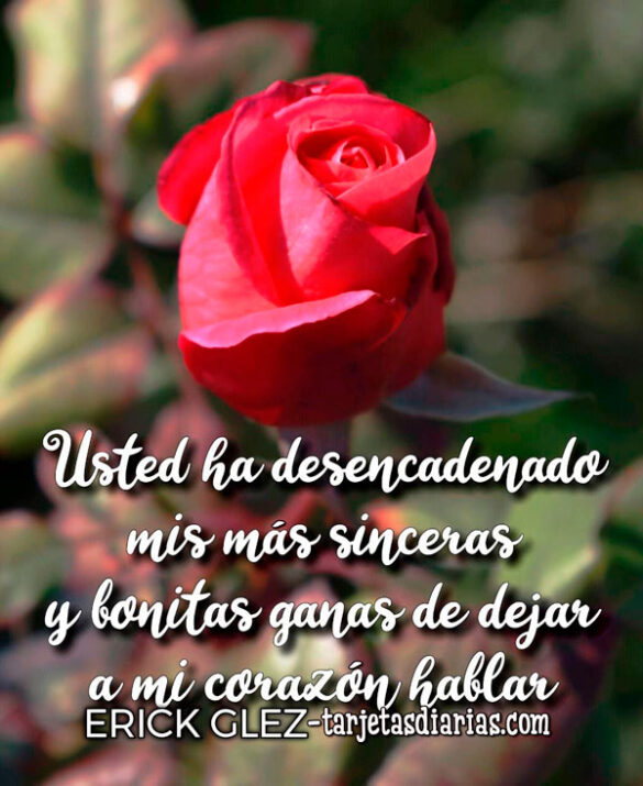 USTED HA DESENCADENADO MIS MÁS SINCERAS Y BONITAS GANAS DE DEJAR A MI CORAZÓN HABLAR