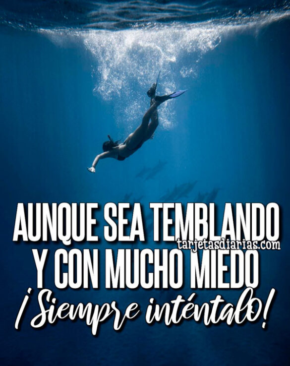 AUNQUE SEA TEMBLANDO Y CON MUCHO MIEDO ¡SIEMPRE INTÉNTALO!
