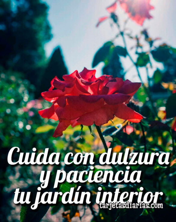 CUIDA CON DULZURA Y PACIENCIA TU JARDÍN INTERIOR