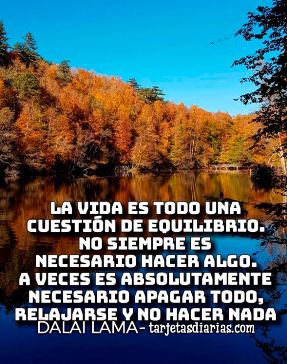 LA VIDA ES TODO UNA CUESTIÓN DE EQUILIBRIO