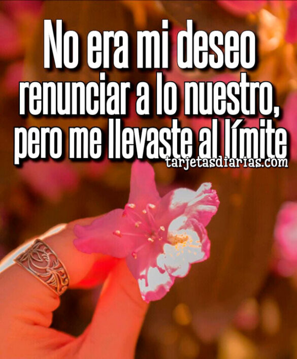 NO ERA MI DESEO RENUNCIAR A LO NUESTRO, PERO ME LLEVASTE AL LÍMITE