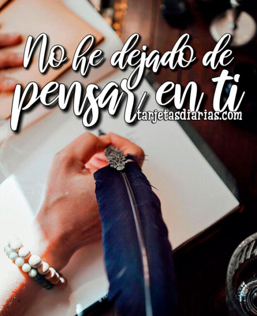 NO HE DEJADO DE PENSAR EN TI - Tarjetas Diarias