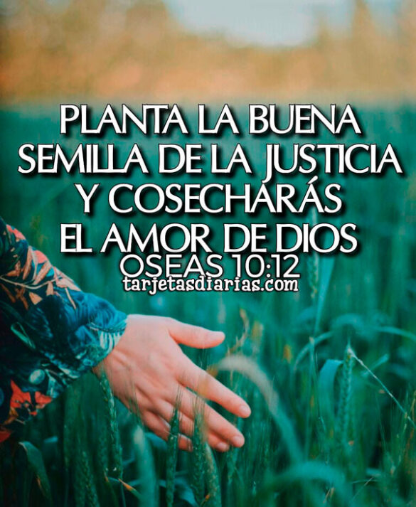 PLANTA LA BUENA SEMILLA DE LA JUSTICIA Y COSECHARÁS EL AMOR DE DIOS. OSEAS 10:12
