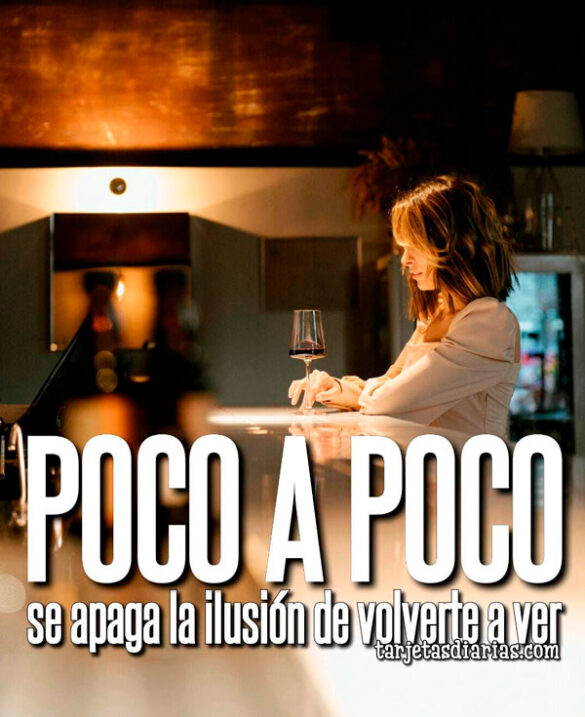 POCO A POCO SE APAGA LA ILUSIÓN DE VOLVERTE A VER