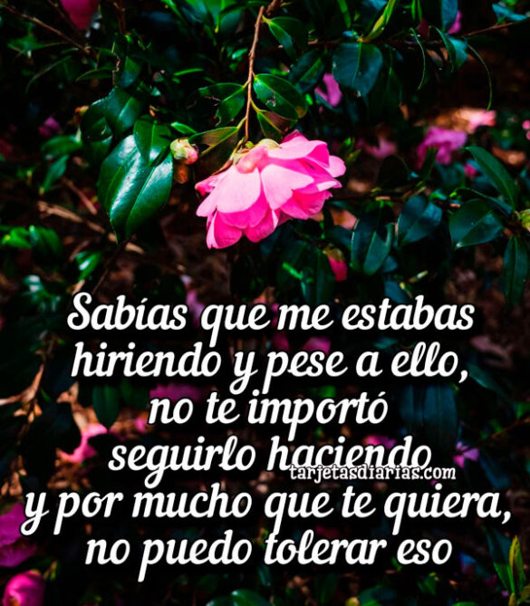 SABÍAS QUE ME ESTABAS HIRIENDO Y NO TE IMPORTÓ SEGUIRLO HACIENDO
