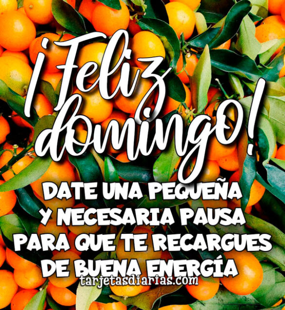 DATE UNA PEQUEÑA Y NECESARIA PAUSA, PARA QUE TE RECARGUES DE BUENA ENERGÍA