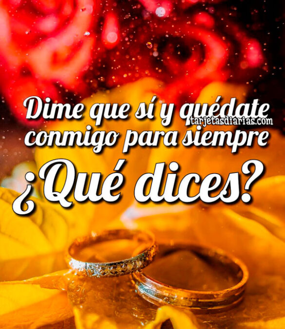 DIME QUE SÍ Y QUÉDATE CONMIGO PARA SIEMPRE