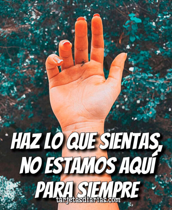 HAZ LO QUE SIENTAS, NO ESTAMOS AQUÍ PARA SIEMPRE