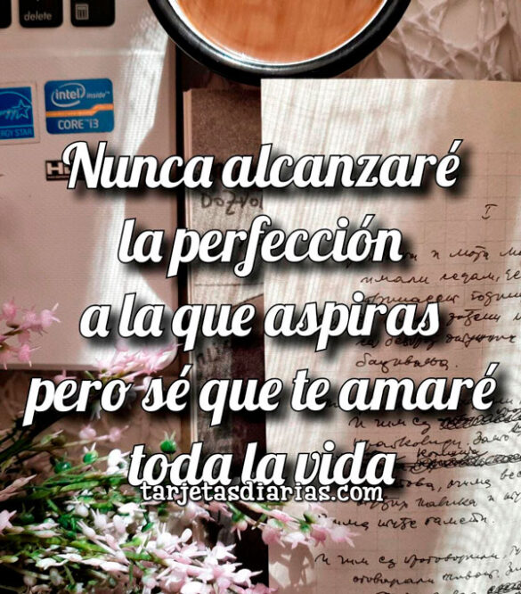 NUNCA ALCANZARÉ LA PERFECCIÓN A LA QUE ASPIRAS, PERO SÉ QUE TE AMARÉ TODA LA VIDA