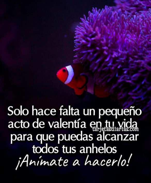 SOLO HACE FALTA UN PEQUEÑO ACTO DE VALENTÍA EN TU VIDA