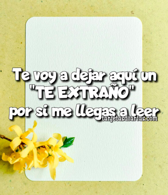 TE VOY A DEJAR AQUÍ UN “TE EXTRAÑO” POR SI ME LLEGAS A LEER