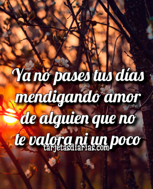 YA NO PASES TUS DÍAS MENDIGANDO AMOR DE ALGUIEN QUE NO TE VALORA NI UN POCO
