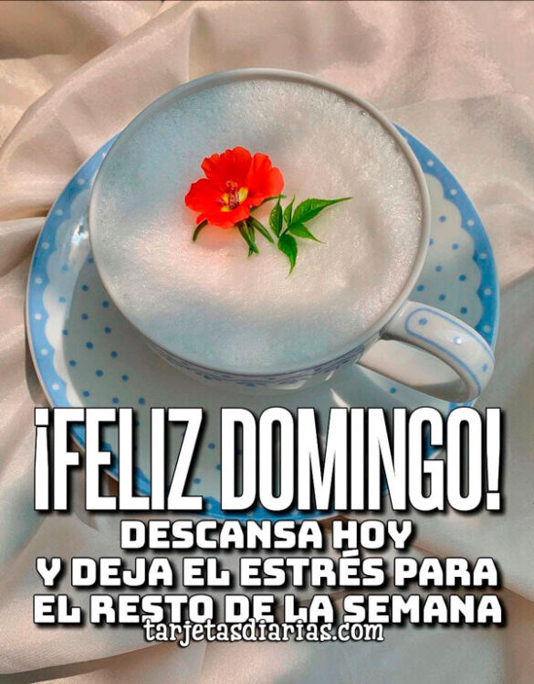 DESCANSA HOY Y DEJA EL ESTRÉS PARA EL RESTO DE LA SEMANA