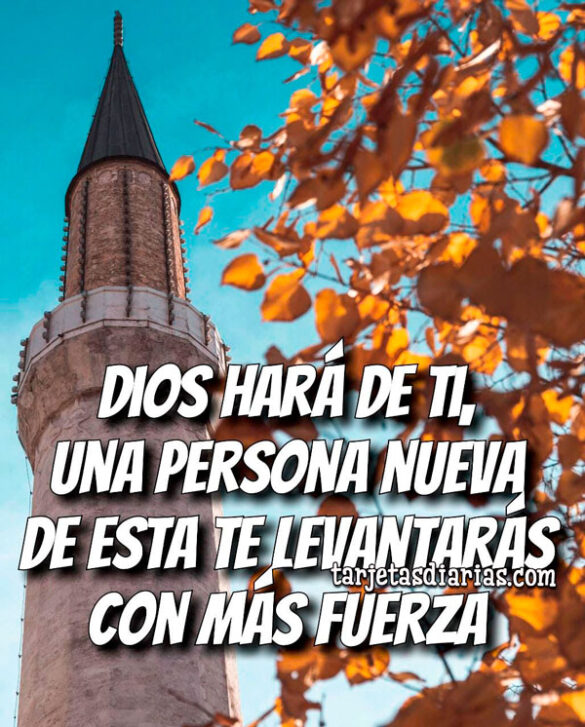 DIOS HARÁ DE TI UNA PERSONA NUEVA, DE ESTA TE LEVANTARÁS CON MÁS FUERZA