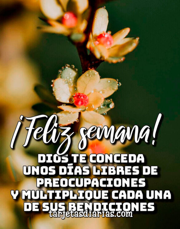 DIOS TE CONCEDA UNOS DÍAS LIBRES DE PREOCUPACIONES