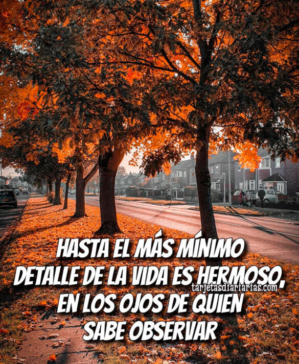 HASTA EL MÁS MÍNIMO DETALLE DE LA VIDA ES HERMOSO