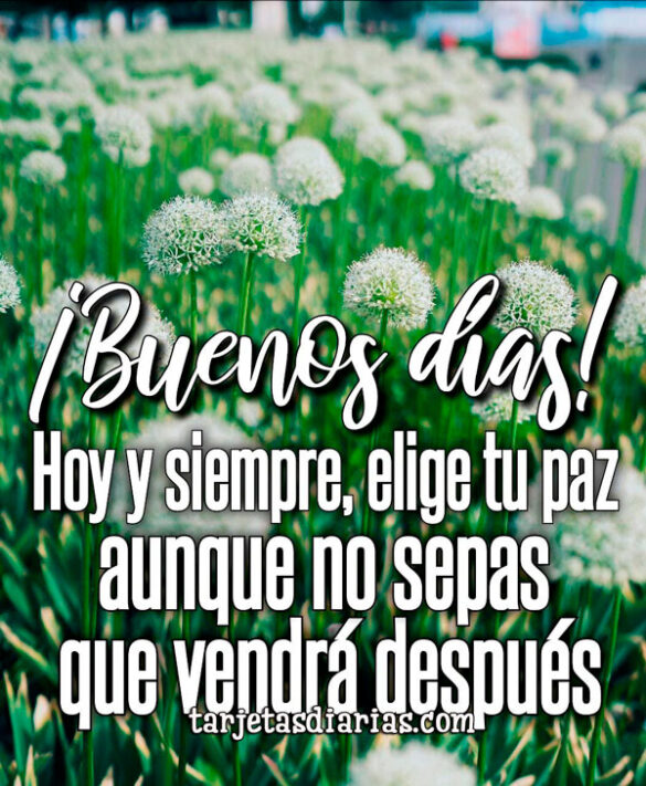 HOY Y SIEMPRE, ELIGE TU PAZ, AUNQUE NO SEPAS QUE VENDRÁ DESPUÉS