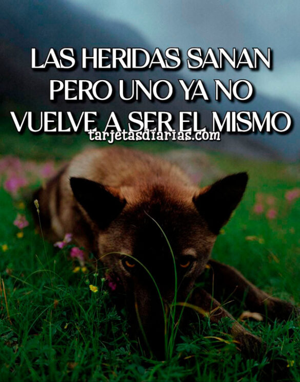 LAS HERIDAS SANAN, PERO UNO YA NO VUELVE A SER EL MISMO