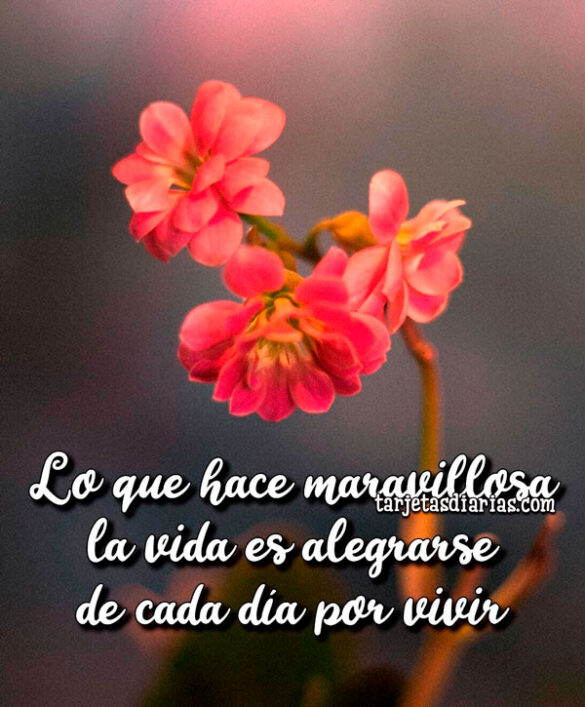 LO QUE HACE MARAVILLOSA LA VIDA ES ALEGRARSE DE CADA DÍA POR VIVIR