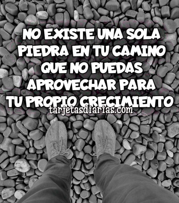 NO EXISTE UNA SOLA PIEDRA EN TU CAMINO QUE NO PUEDAS APROVECHAR
