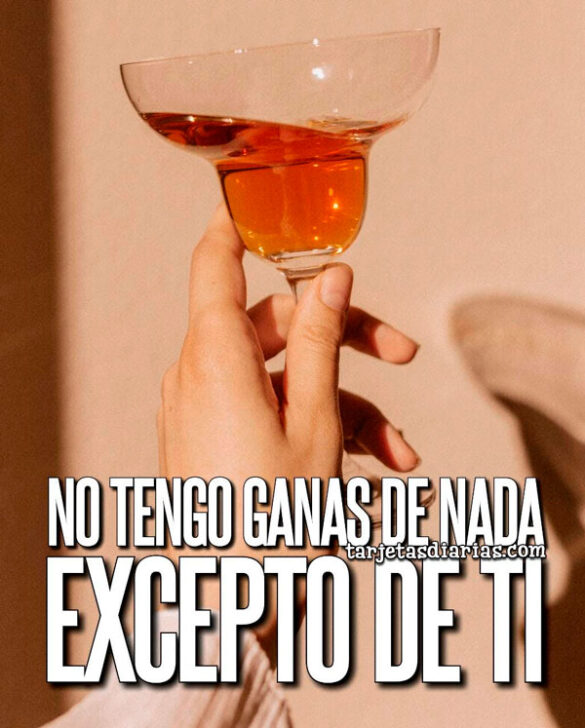 NO TENGO GANAS DE NADA, EXCEPTO DE TI