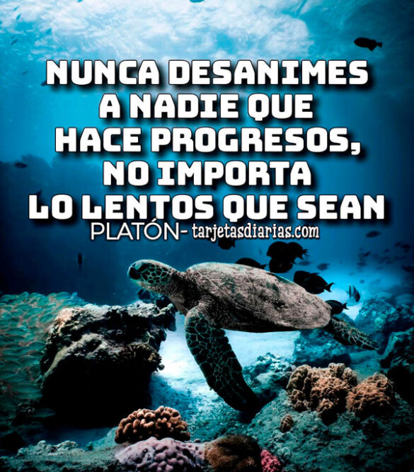 NUNCA DESANIMES A NADIE QUE HACE PROGRESOS, NO IMPORTA LO LENTOS QUE SEAN