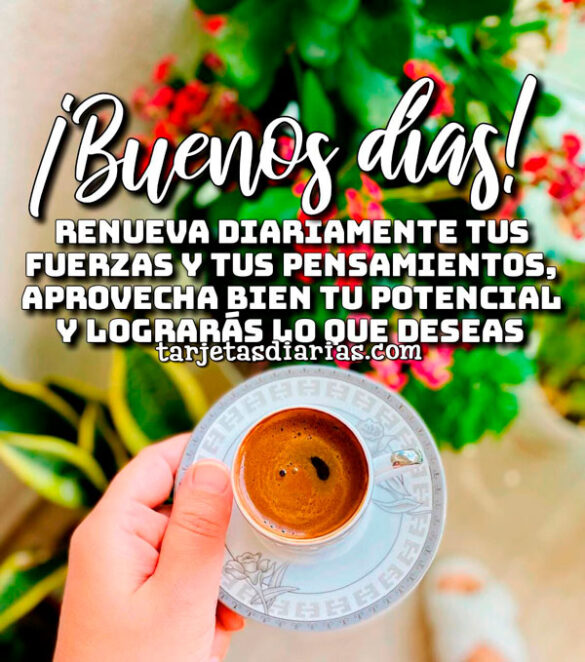 RENUEVA DIARIAMENTE TUS FUERZAS Y TUS PENSAMIENTOS