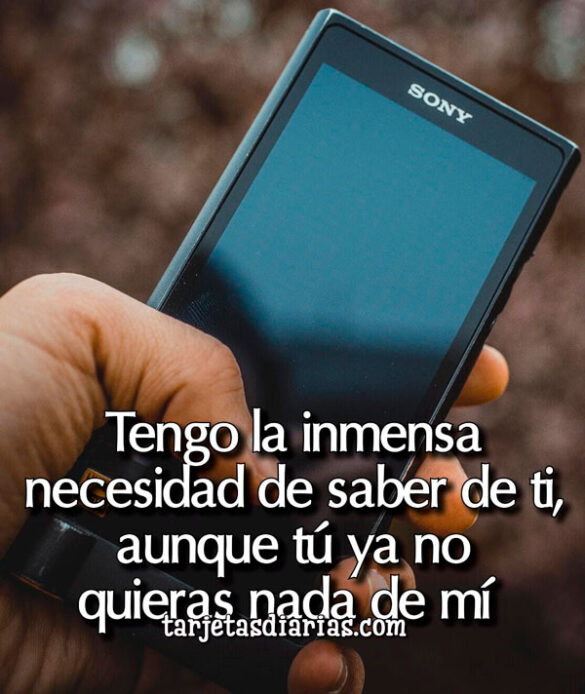 TENGO LA INMENSA NECESIDAD DE SABER DE TI, AUNQUE TÚ YA NO QUIERAS NADA DE MÍ