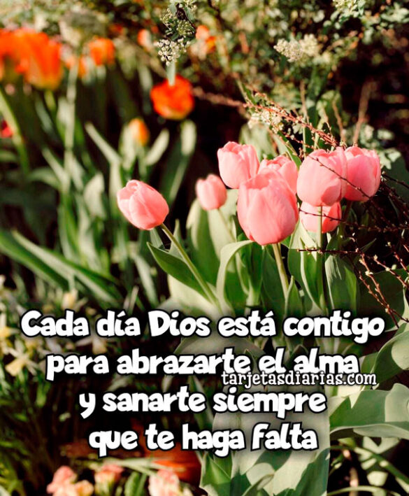 CADA DÍA DIOS ESTÁ CONTIGO PARA ABRAZARTE Y SANARTE SIEMPRE QUE HAGA FALTA