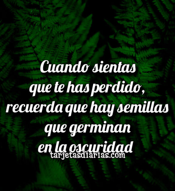 CUANDO SIENTAS QUE TE HAS PERDIDO, RECUERDA QUE HAY SEMILLAS QUE GERMINAN EN LA OSCURIDAD
