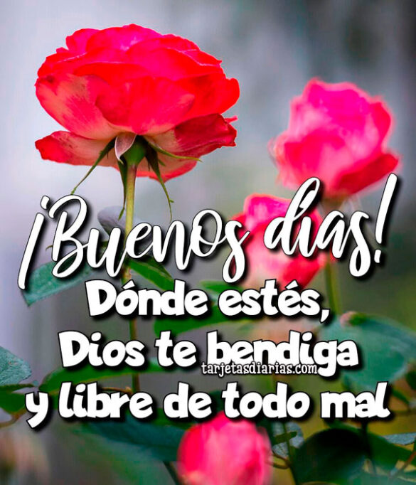 DÓNDE ESTÉS DIOS TE BENDIGA Y LIBRE DE TODO MAL