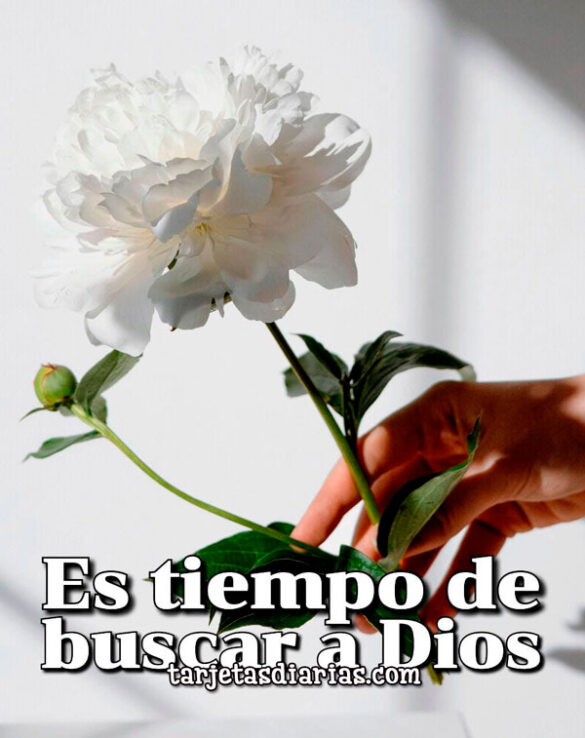ES TIEMPO DE BUSCAR A DIOS