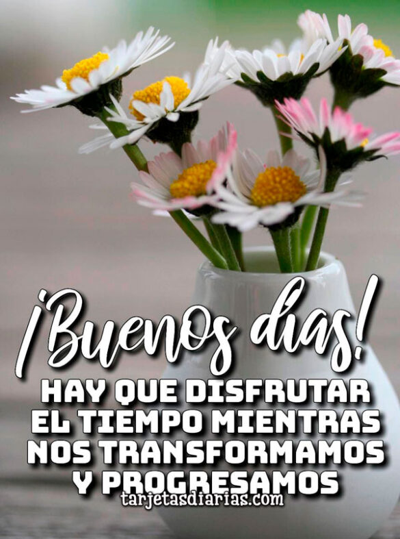 HAY QUE DISFRUTAR EL TIEMPO MIENTRAS NOS TRANSFORMAMOS Y PROGRESAMOS