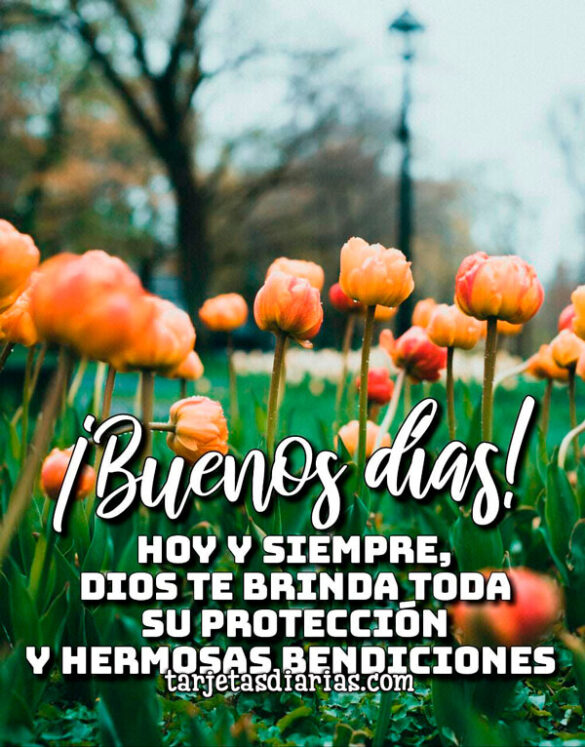 HOY Y SIEMPRE DIOS TE BRINDA TODA SU PROTECCIÓN Y BENDICIONES