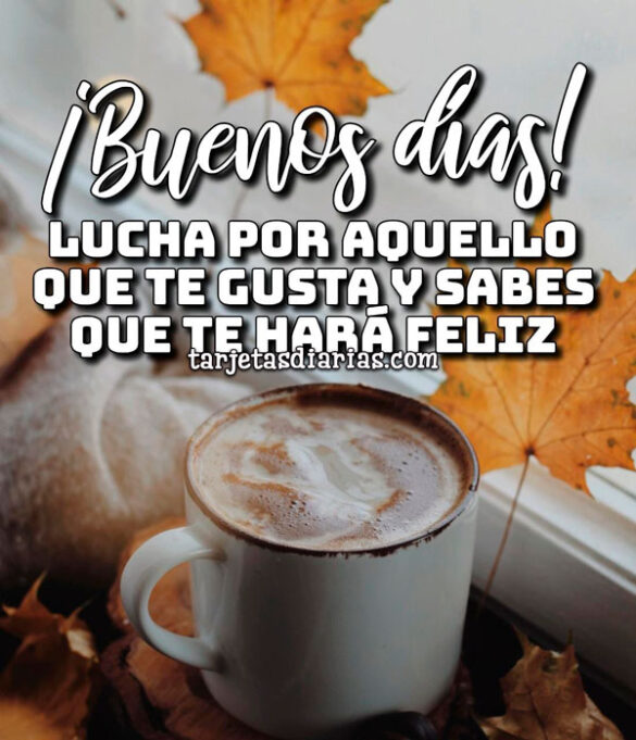 LUCHA POR AQUELLO QUE TE GUSTA Y SABES QUE TE HARÁ FELIZ