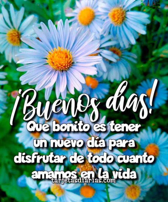 QUE BONITO ES TENER UN NUEVO DÍA PARA DISFRUTAR DE TODO CUANTO AMAMOS EN LA VIDA