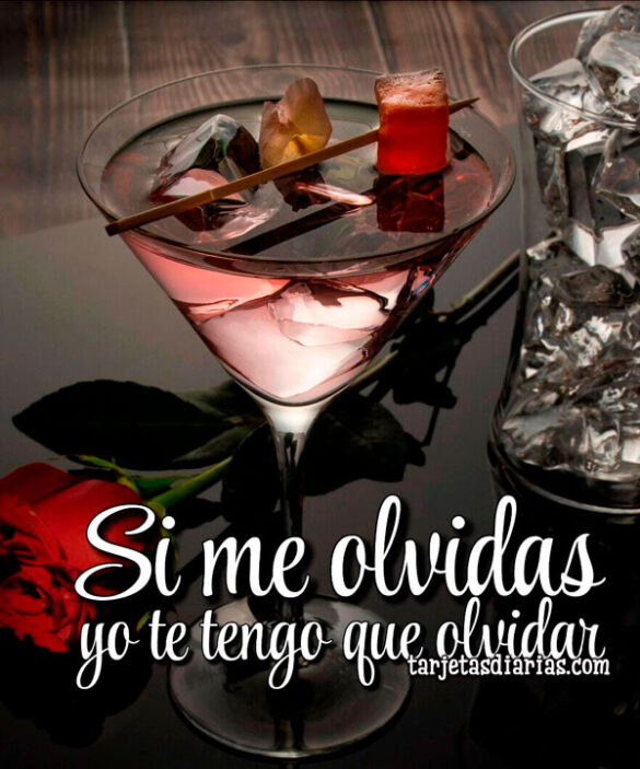 SI ME OLVIDAS YO TE TENGO QUE OLVIDAR