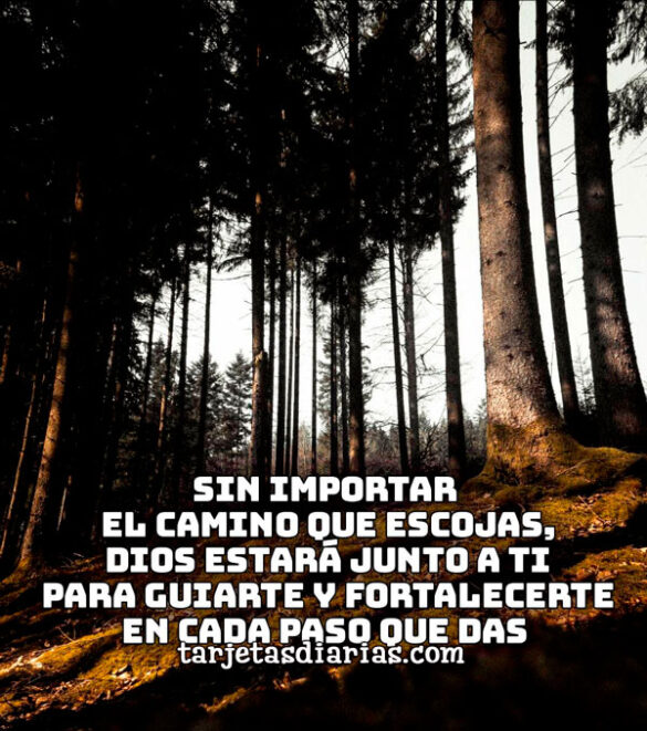 SIN IMPORTAR QUE CAMINO ESCOJAS, DIOS ESTARÁ JUNTO A TI PARA GUIARTE Y FORTALECERTE