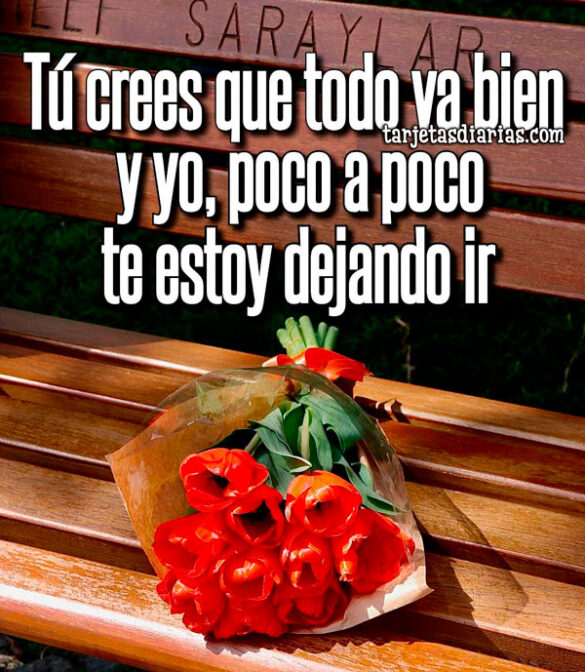 TÚ CREES QUE TODO VA BIEN Y YO, POCO A POCO TE ESTOY DEJANDO IR