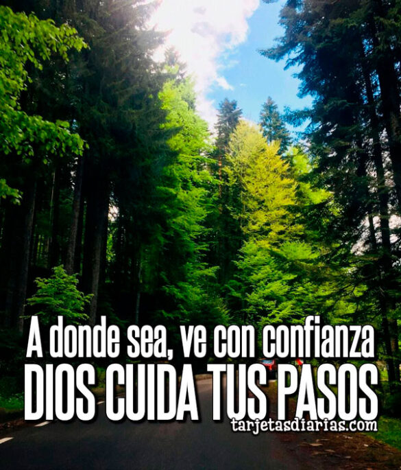 A DONDE SEA, VE CON CONFIANZA, DIOS CUIDA TUS PASOS