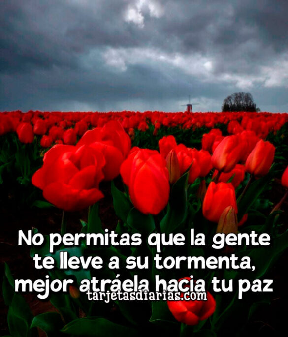 NO PERMITAS QUE LA GENTE TE LLEVE A SU TORMENTA, MEJOR ATRÁELA HACIA TU PAZ