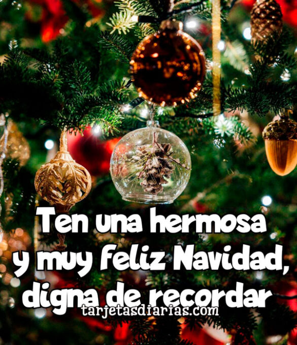 TEN UNA HERMOSA Y MUY FELIZ NAVIDAD DIGNA DE RECORDAR