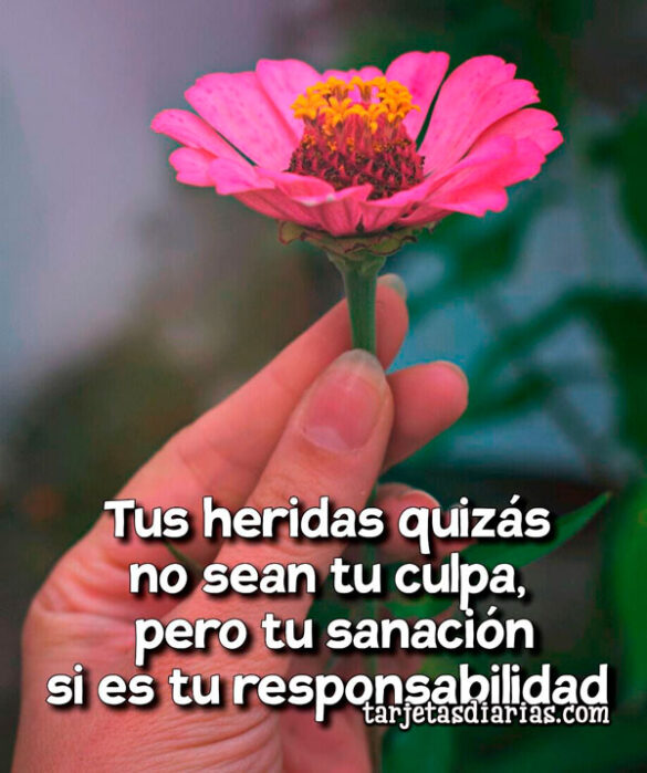 TUS HERIDAS QUIZÁS NO SEAN TU CULPA, PERO TU SANACIÓN ES TU RESPONSABILIDAD